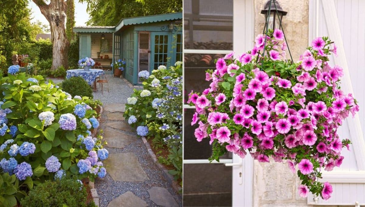 ¿Qué flores florecen en primavera? 4 plantas bonitas para tener en macetas en tu patio o jardín