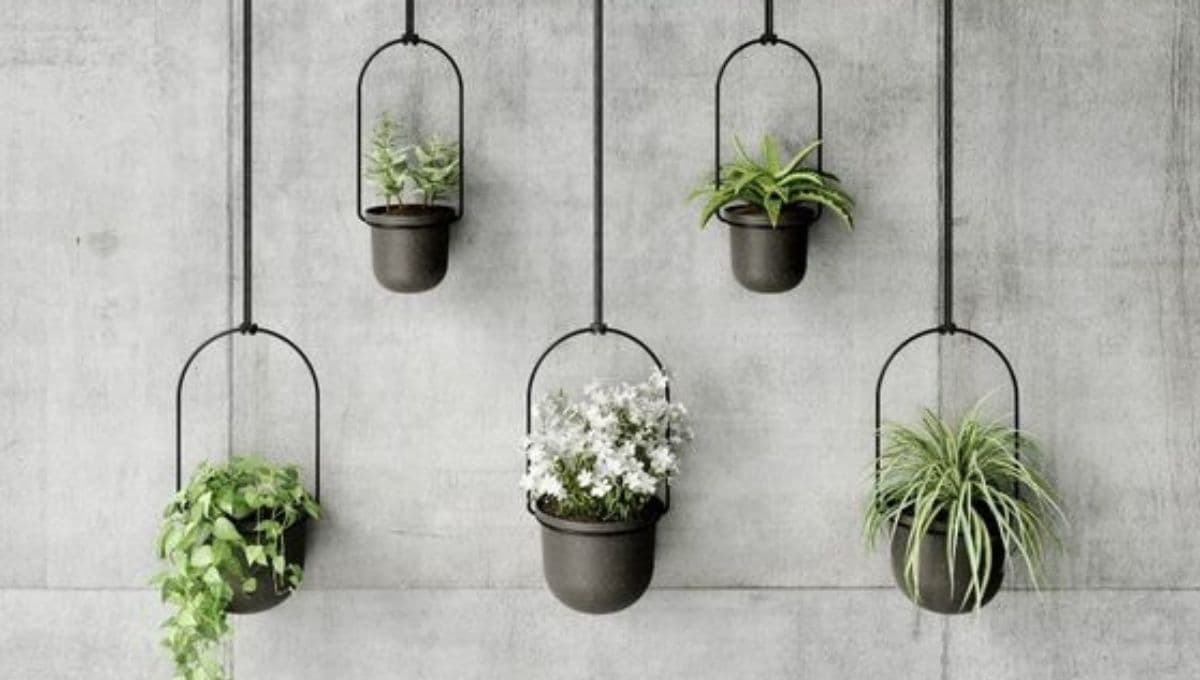 Elige las mejores macetas para plantas colgantes: ideas para tu hogar