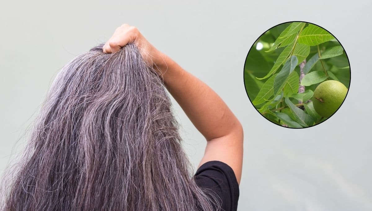 Despídete de las canas: ESTA es la mejor planta para pintar el cabello naturalmente