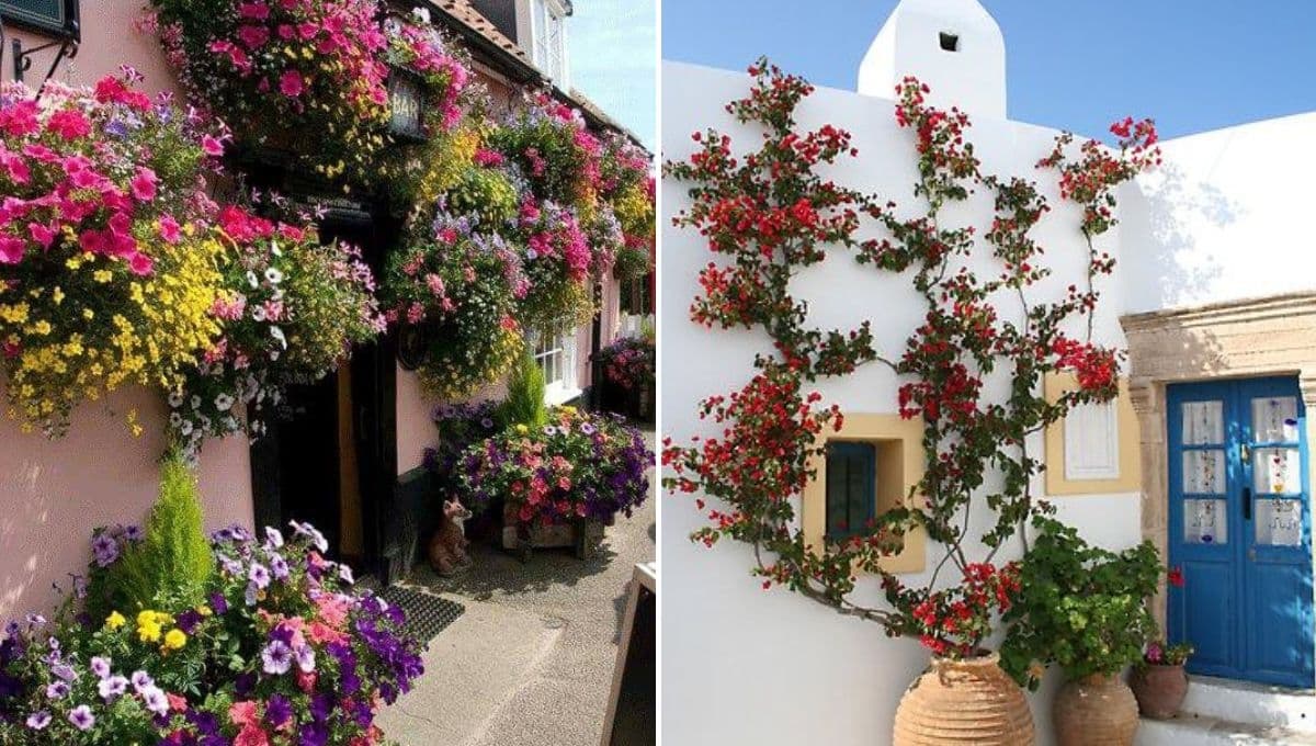 ¿Cómo decorar la fachada con plantas? 4 ideas para renovar tu casa