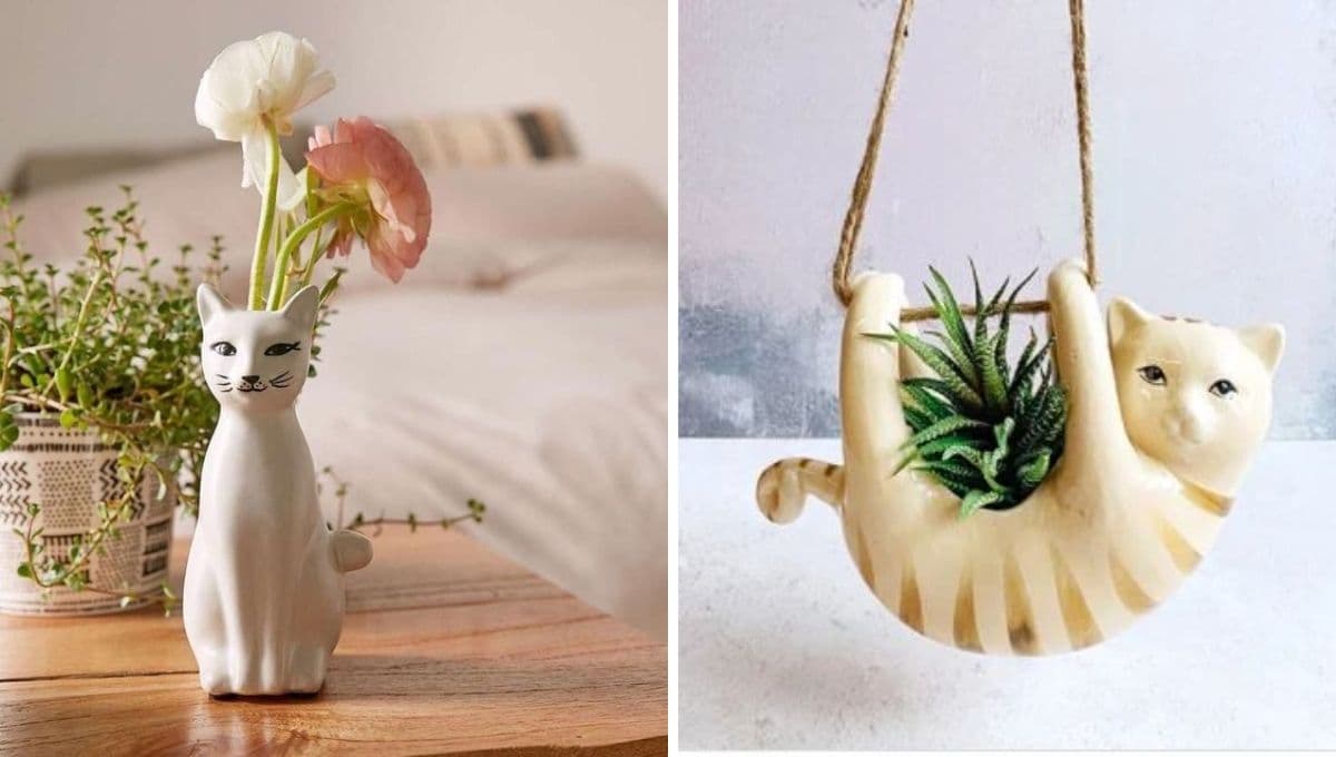 Macetas de gato para plantas pequeñas: 5 fantásticas ideas con cerámica