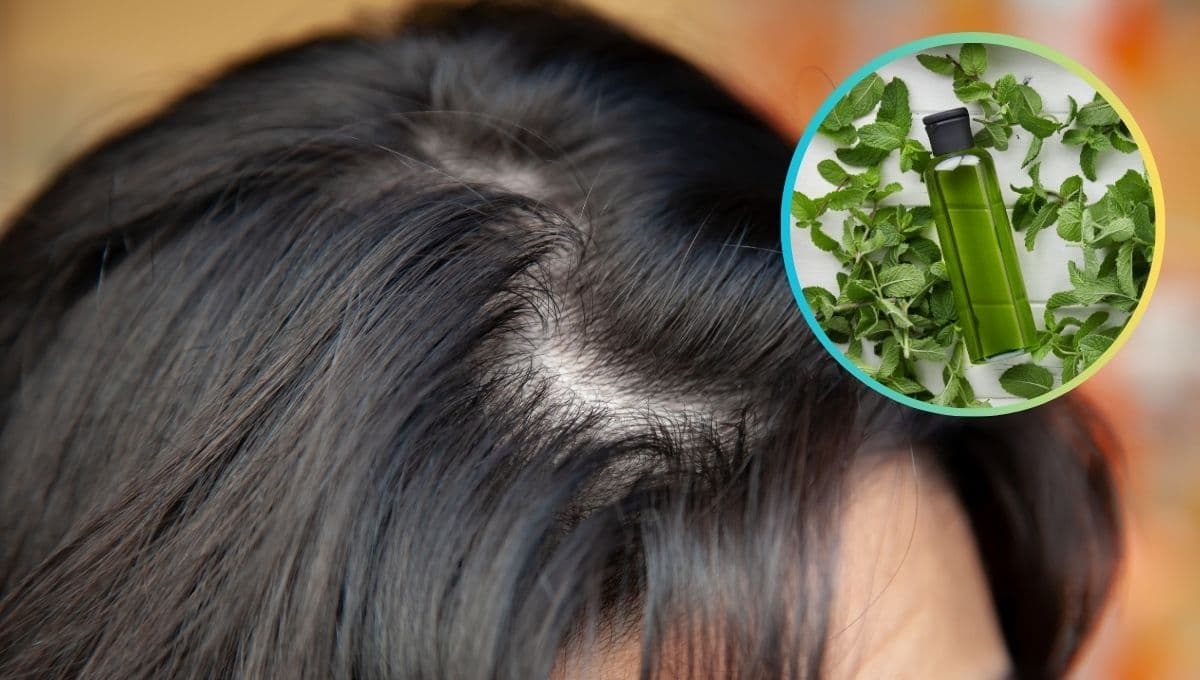 Cómo hacer shampoo de menta para eliminar el cabello graso