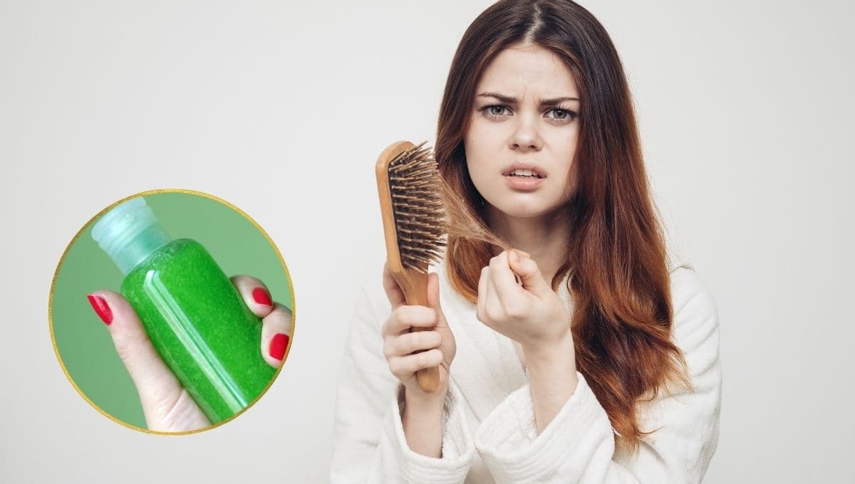 Cómo hacer shampoo de espinosilla y romero para frenar la caída del cabello