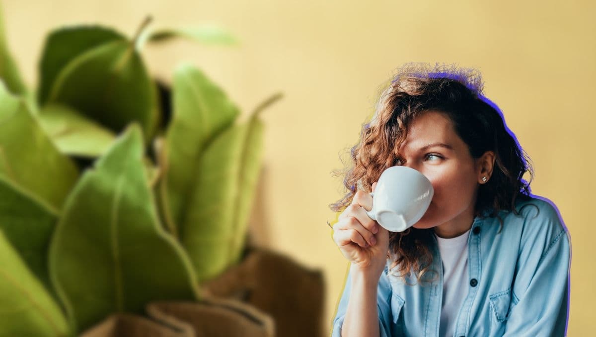 ¿Qué pasa si tomo té de laurel en el embarazo?