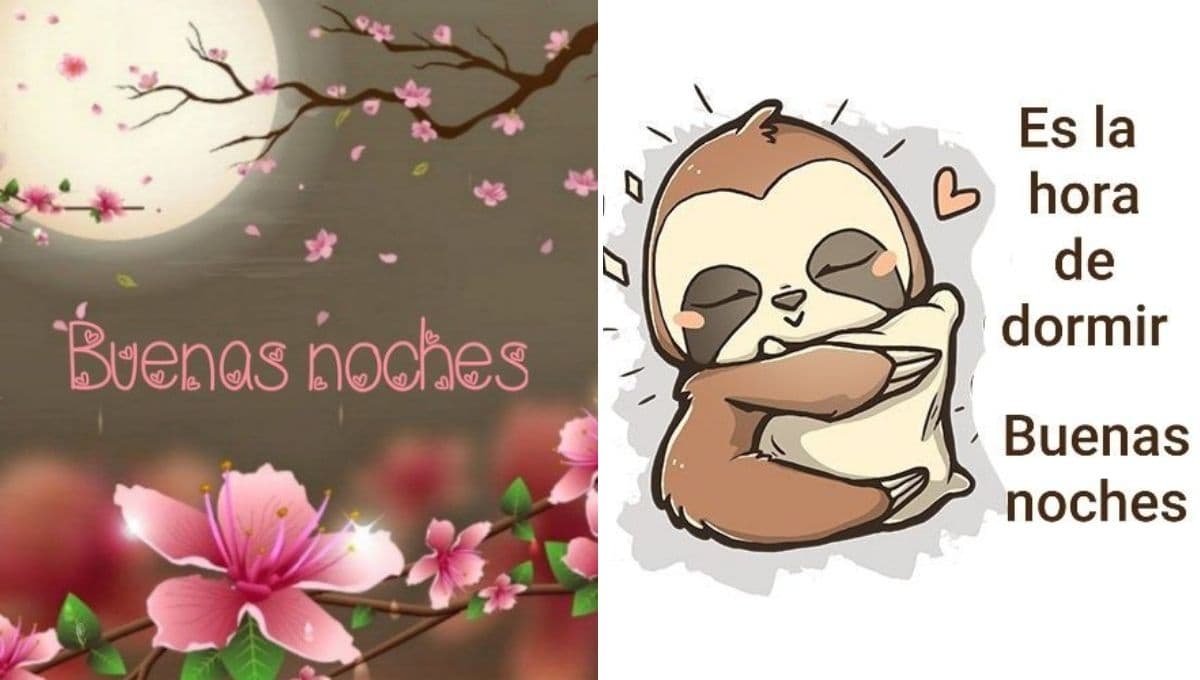 Imágenes para dar las buenas noches con frases bonitas en un grupo de WhatsApp