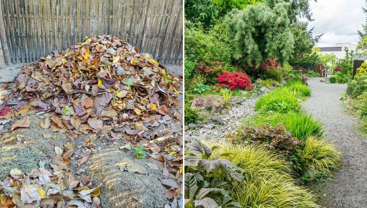 Tu jardín tiene mal aspecto porque cometes estos 3 errores al decorar