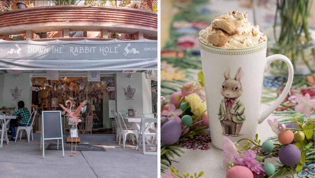 Disfruta la cafetería de Alicia en el país de las maravillas en CDMX: dónde queda y precios