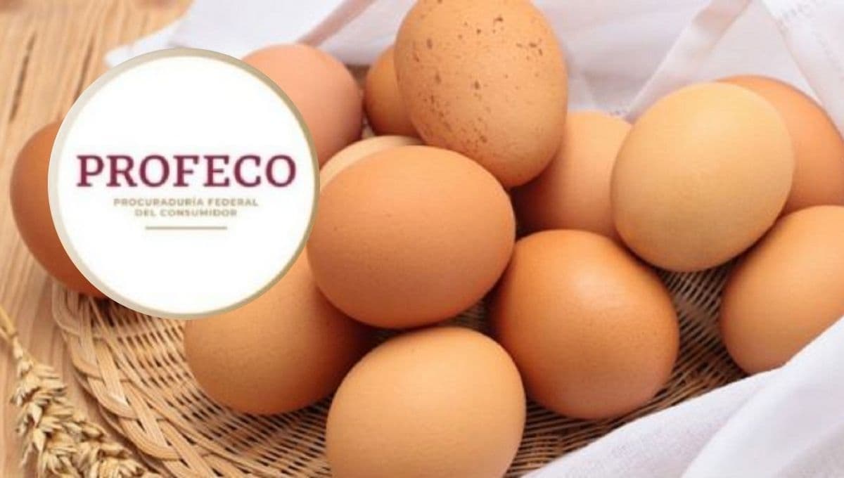 Las marcas de huevo que contienen más colesterol y podrían dañar tu salud, según Profeco