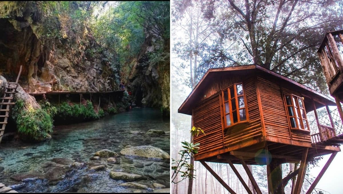3 lugares con naturaleza en CDMX para disfrutar tu domingo