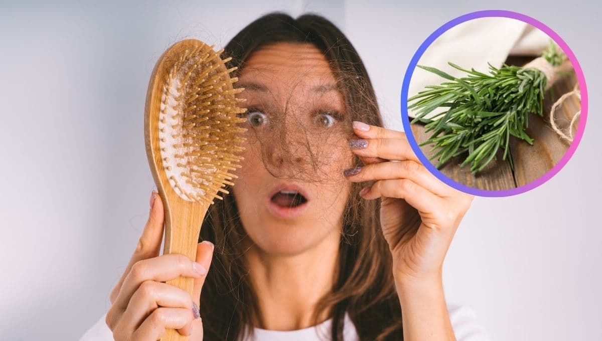 El remedio casero con romero para detener la caída de cabello y darle fuerza nuevamente