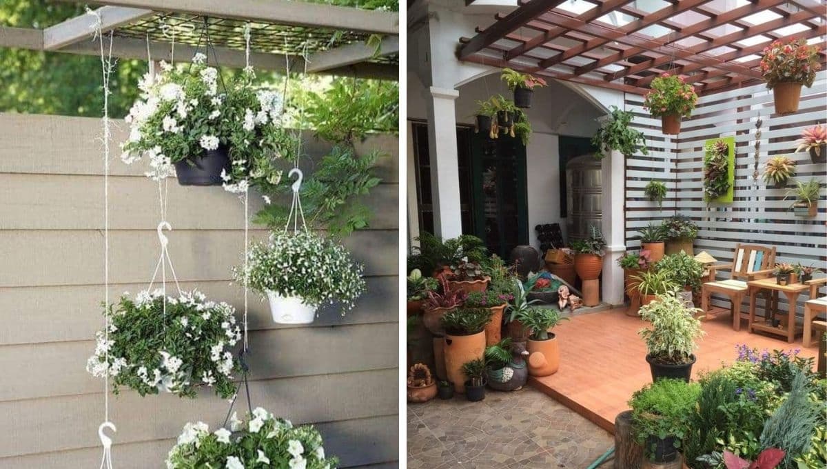 ¿Cómo decorar un patio pequeño de Infonavit con plantas?