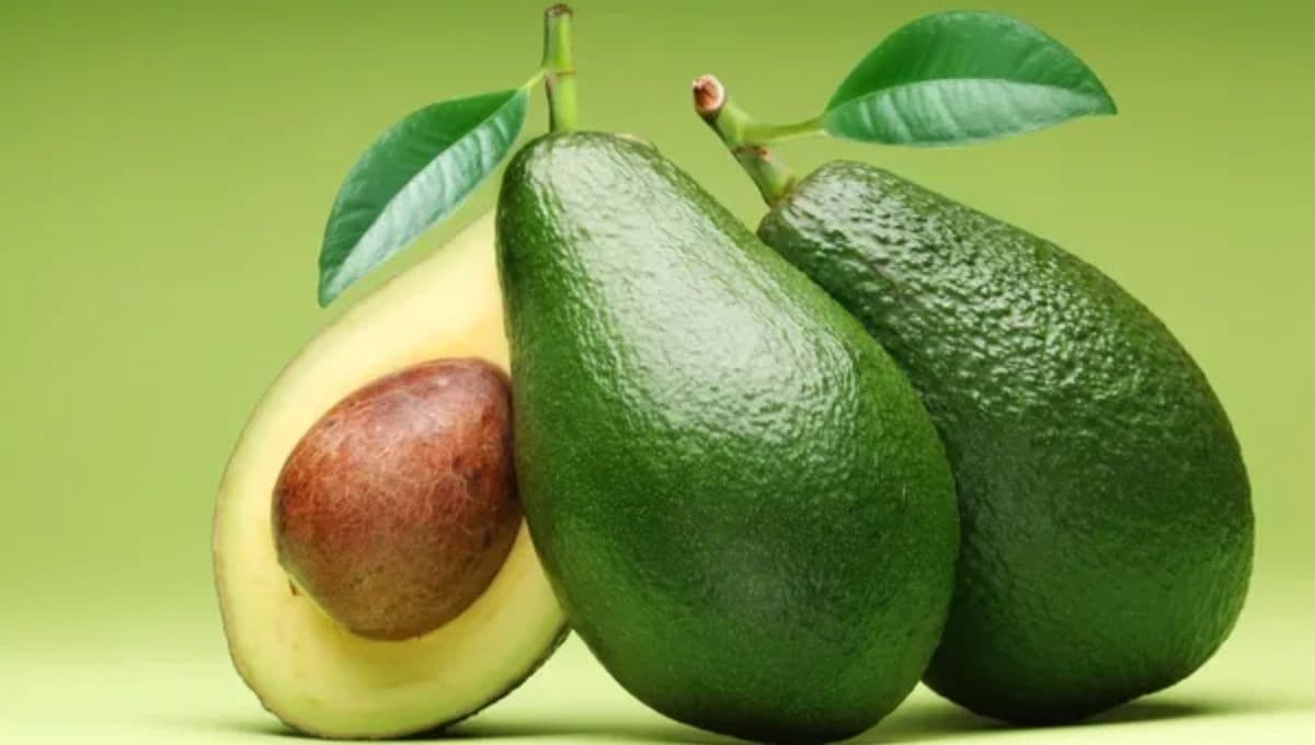 Precio del aguacate en Walmart y el mercado por kilo HOY 2 de julio