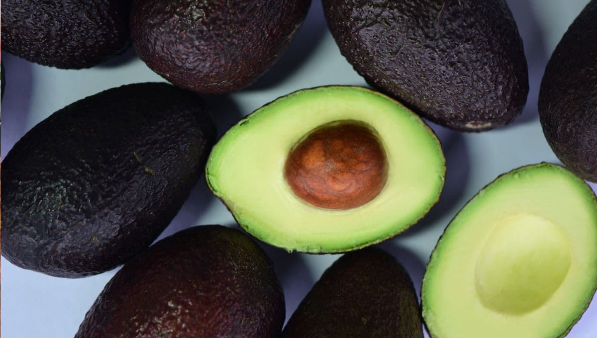 Precio del aguacate en Walmart y el mercado por kilo HOY 3 de julio