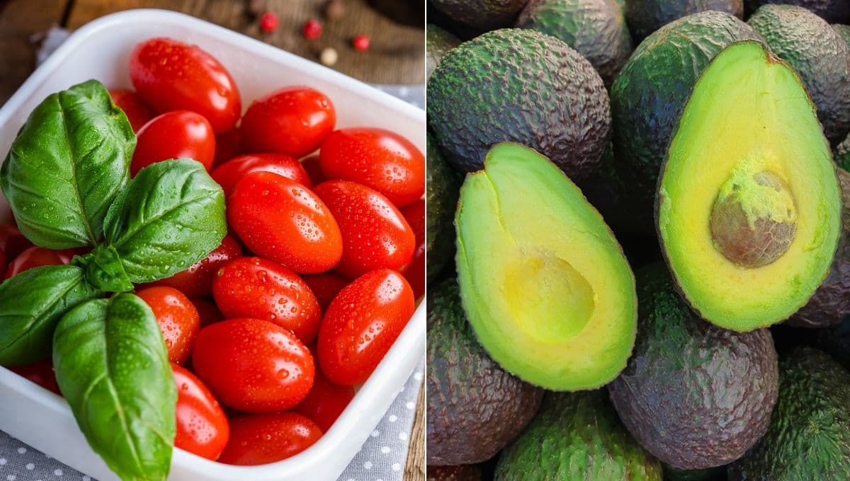 El precio del aguacate y jitomate HOY 12 de julio en Walmart y la Central de Abastos