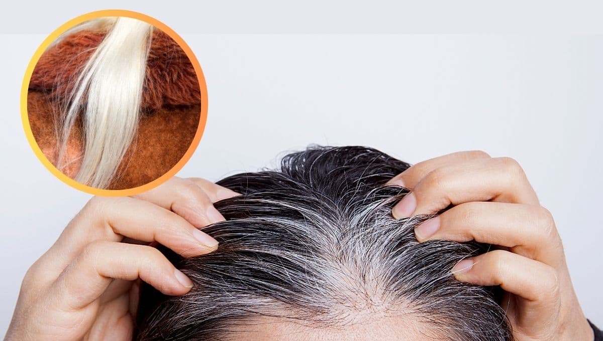 ¿Cómo blanquear las canas amarillentas? 5 consejos para mantener tu cabello blanco