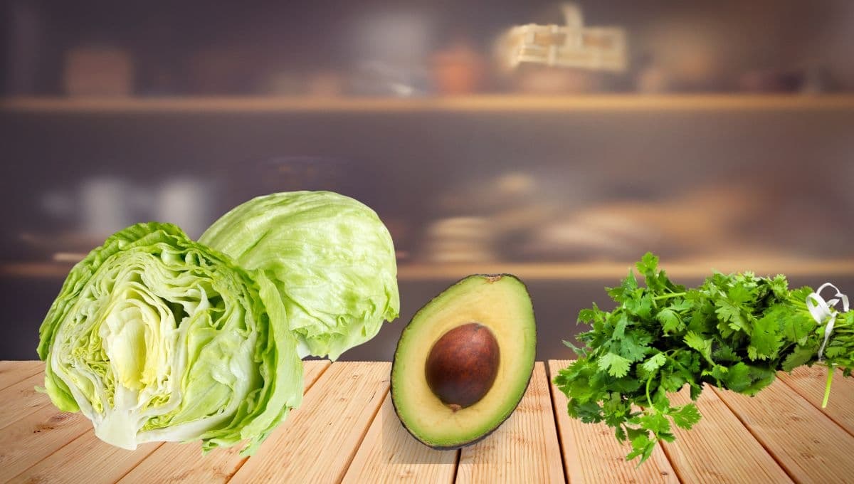 Precio del aguacate, cilantro y lechuga HOY 24 de julio en Walmart y la Central de Abastos