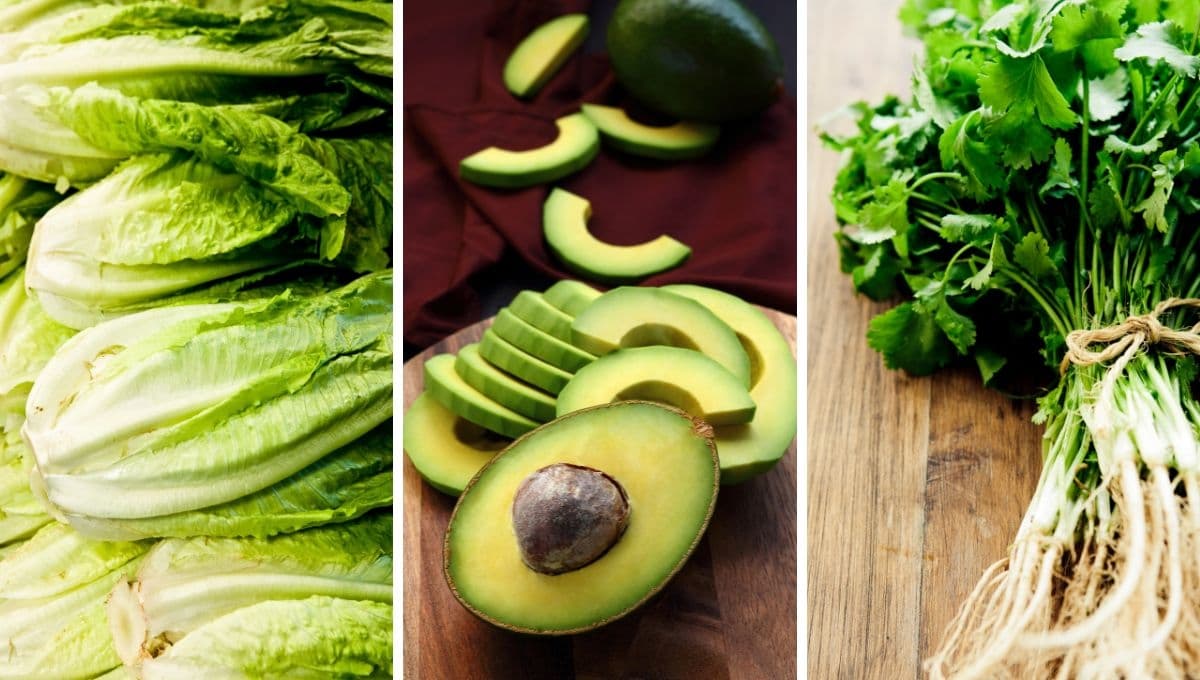 Precio del aguacate, cilantro y lechuga HOY 26 de julio en Walmart y la Central de Abastos