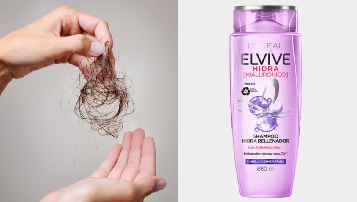 ¿Cuál es el shampoo morado Elvive que provoca la caída del cabello?