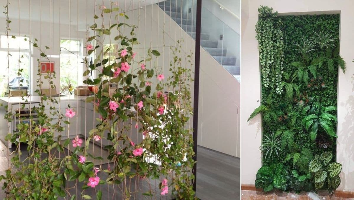 Jardines de pared para interiores: 5 ideas para que armes el tuyo en casa