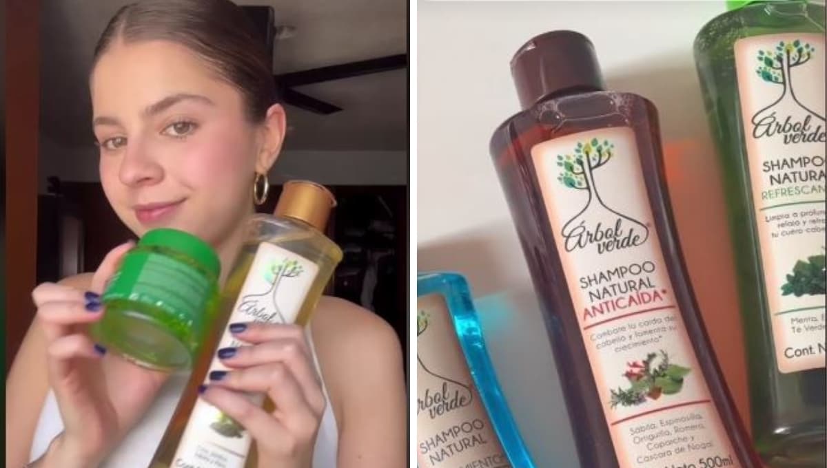 ¿Qué tan bueno es el shampoo Árbol Verde? Productos y opiniones
