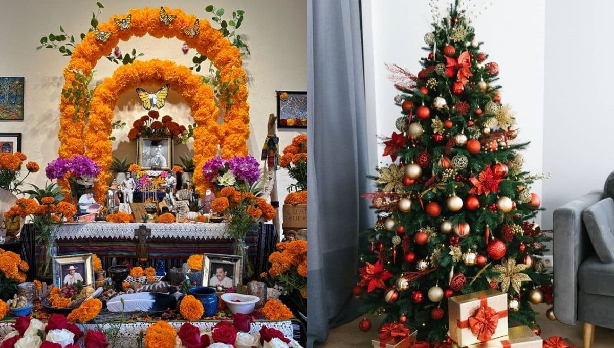 ¿Cuándo se quita la ofrenda de Día de Muertos y cuándo se pone el árbol de navidad?