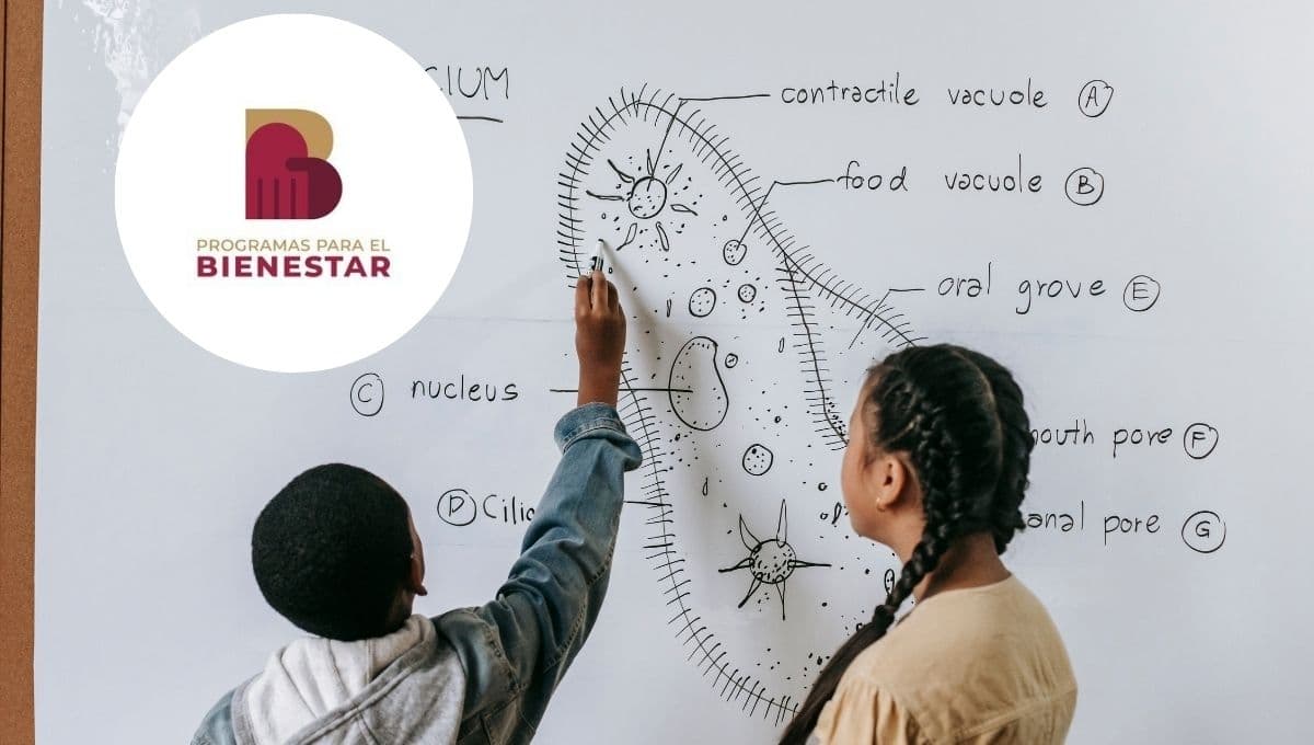Beca Rita Cetina: página para hacer el registro y documentos en PDF para estudiantes de secundaria