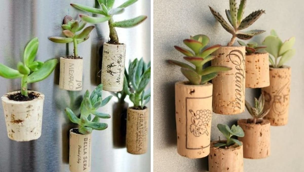 Plantas: 6 ideas para decorar una maceta con corchos