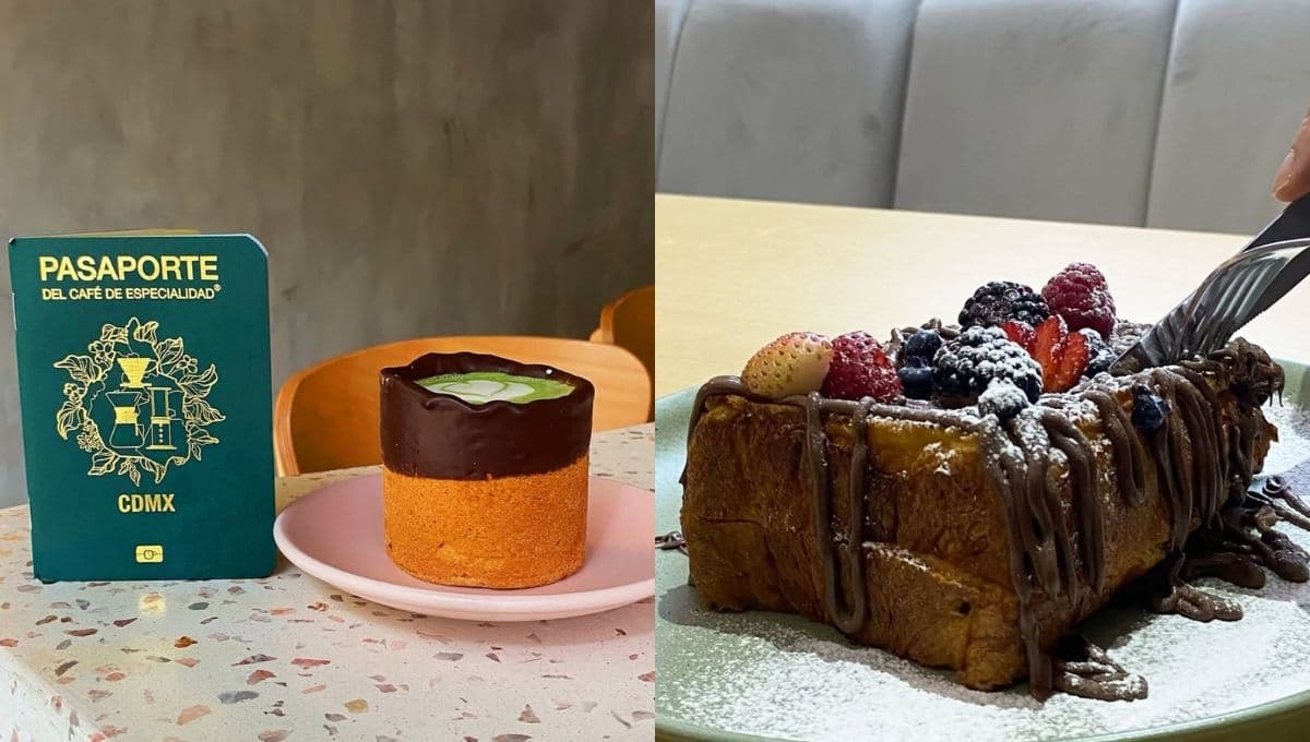 Deseo café, disfruta su rico café en una taza hecha de galleta: cómo llegar y precios