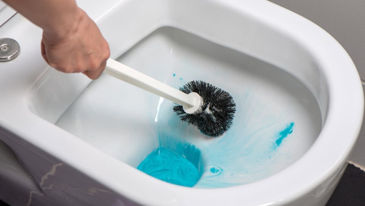 ¿Sarro en la taza del baño? 5 trucos para eliminar la suciedad del water