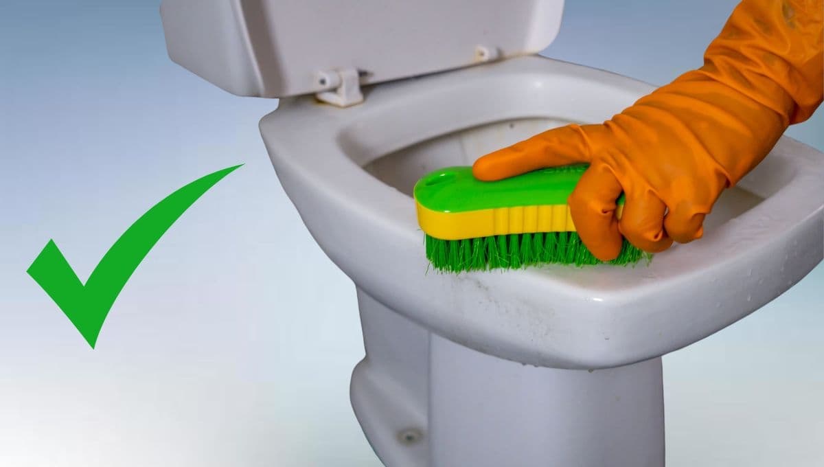 ¿Cómo dejar el inodoro blanco? Los trucos para quitar las manchas amarillentas