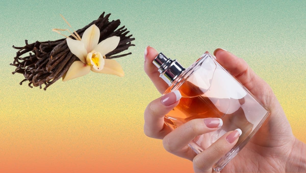 Cómo oler a vainilla: perfumes y cremas para que huelas rico