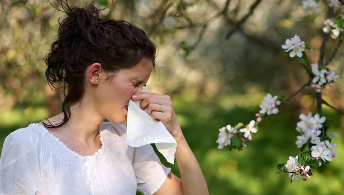 ¿Qué son las alergias de primavera y cómo puedes identificarlas en esta temporada?