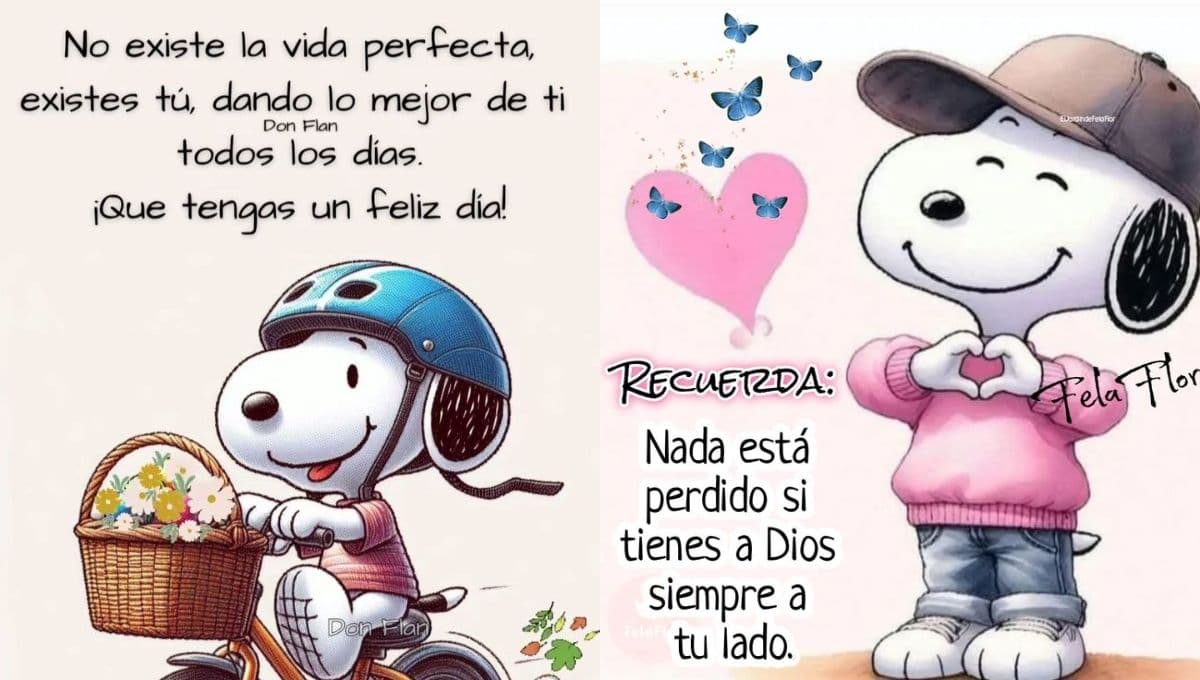 Feliz domingo: frases con stickers de Snoopy para enviar por mensaje
