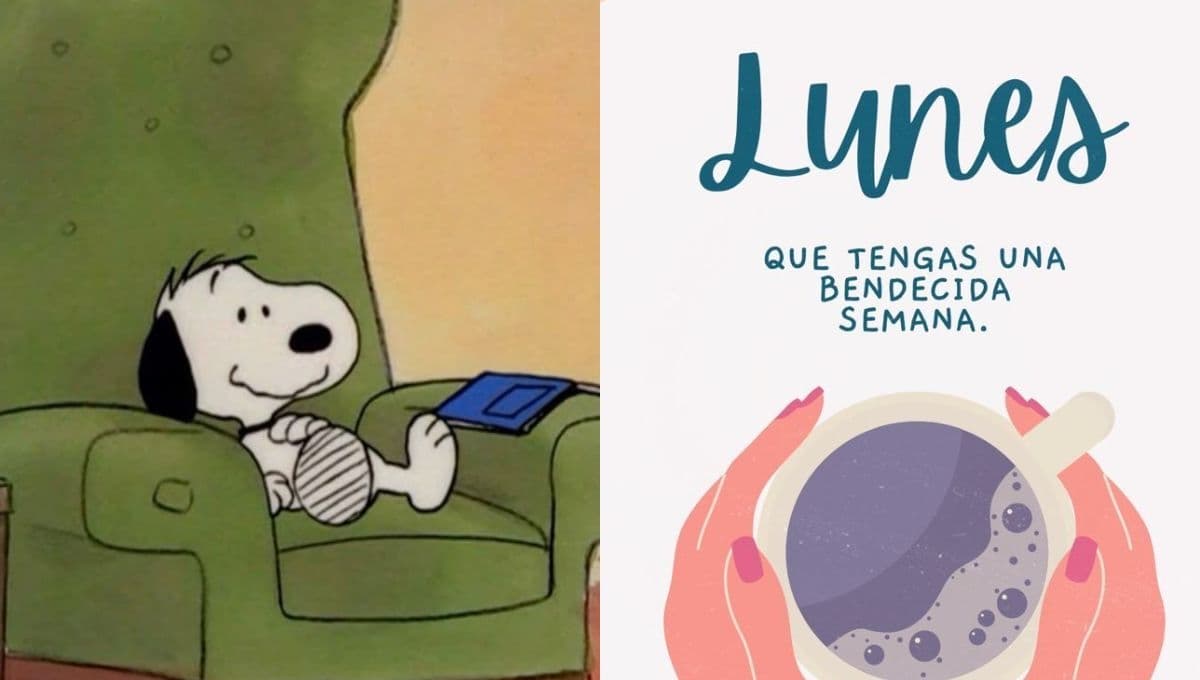 Feliz lunes: frases para desear un excelente inicio de semana