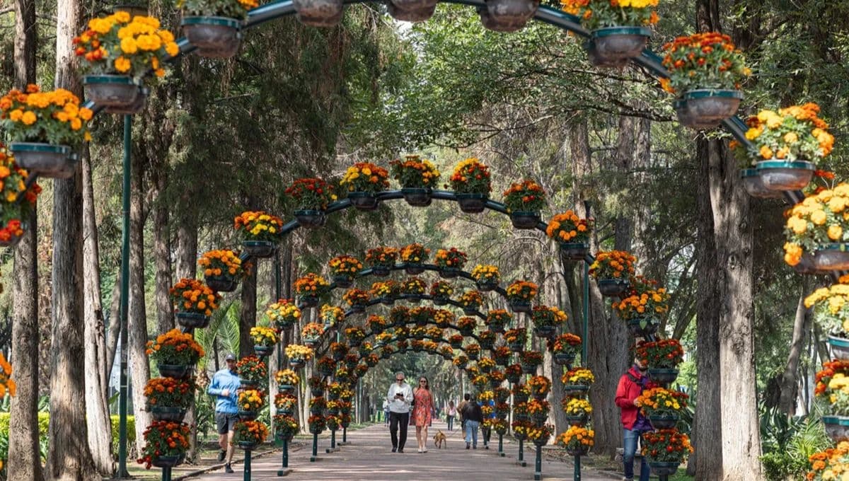 Festival de Flores y Jardines de Polanco: fechas y qué actividades encontrarás