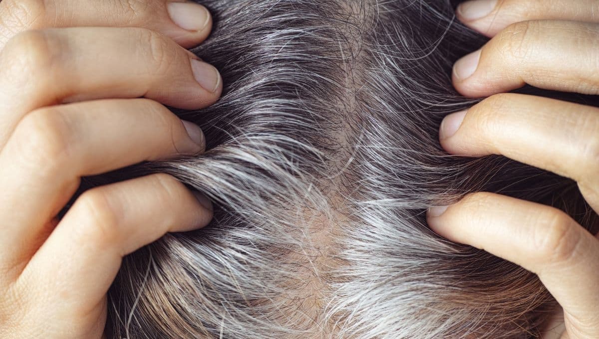 3 mitos de por qué aparecen las canas y deberías dejar de creer