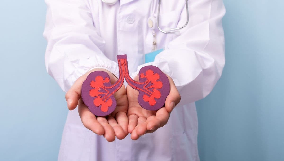 ¿Cómo limpiar los riñones de manera natural? 3 métodos para evitar cálculos renales