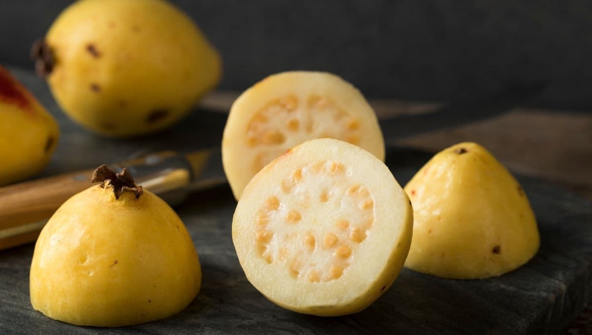 Guayaba: beneficios para la piel, salud y todas las vitaminas que tiene