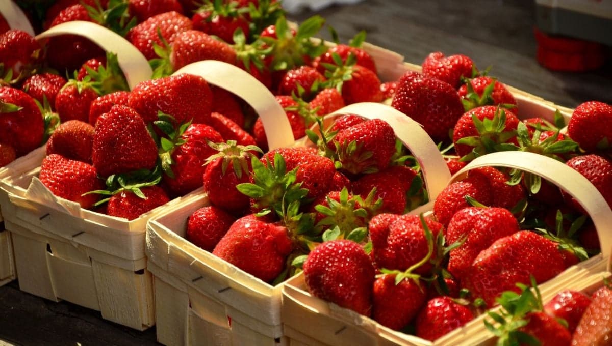 La fruta que puede ayudar a reducir los dolores menstruales que deberías consumir