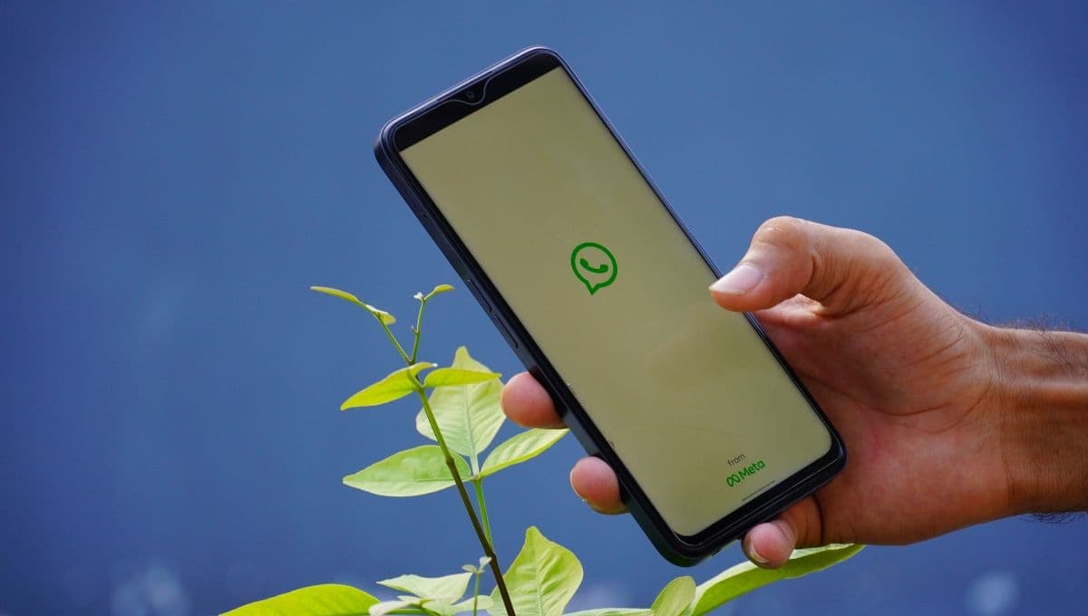 ¡Organiza tu WhatsApp! Pasos para separar tus stickers por carpetas