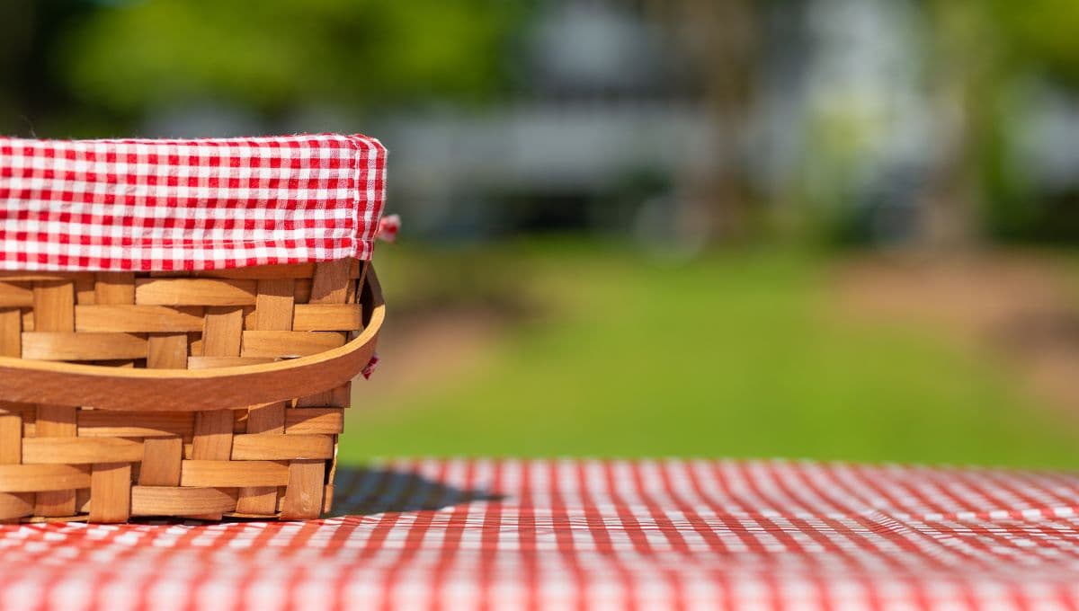 Dónde hacer un picnic nocturno en CDMX