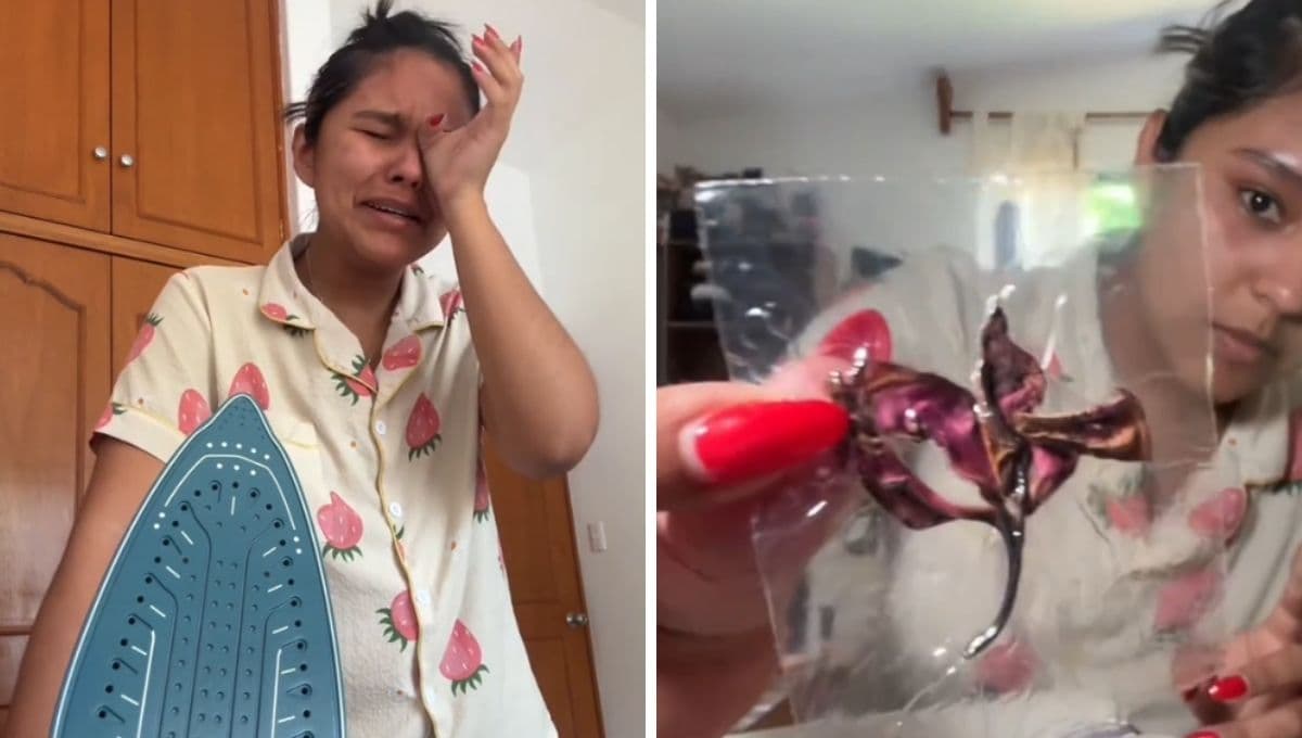enmicar con una bolsa de plástico y plancha