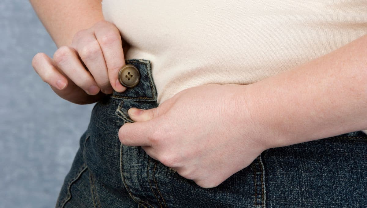 como afecta la obesidad al cerebro