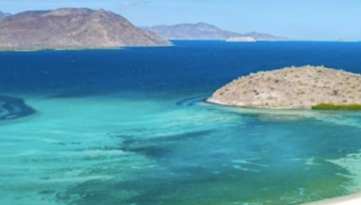 Las 5 playas más populares para vacacionar en México, según Trip Advisor