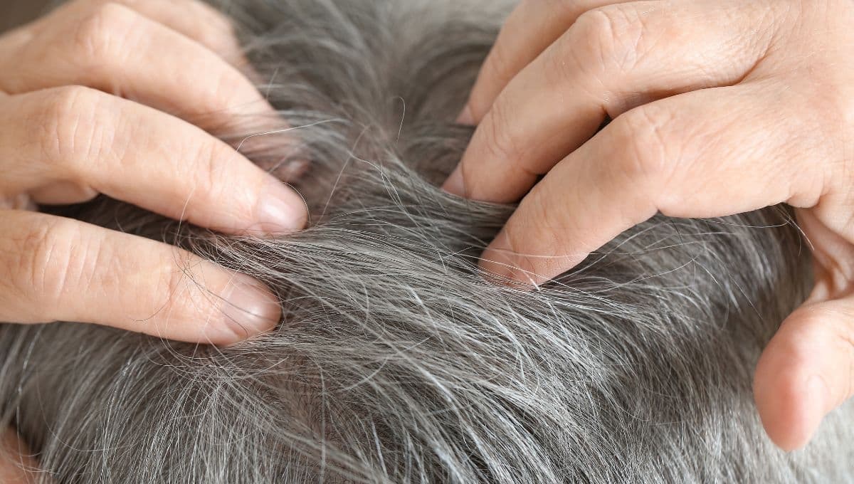 3 trucos caseros para eliminar las canas de forma natural y sin tener que usar tintes