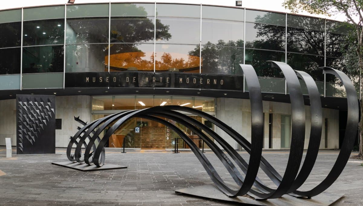 materia imperfecta en el museo de arte moderno