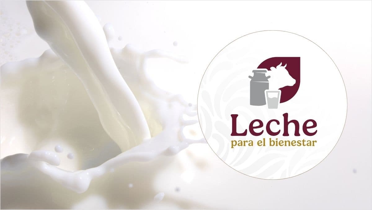 leche para el bienestar cuales son sus beneficios